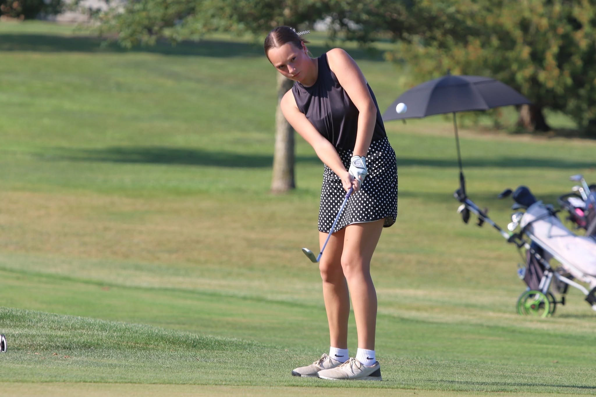 Lady Norse Top Squires/Eagles